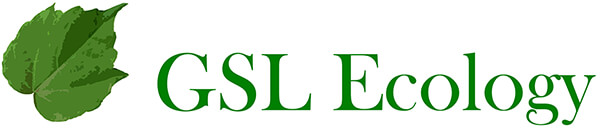 GSL Ecology Ltd
